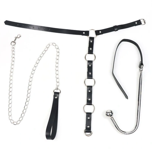 Anal Hooks Hook with Anal Leash EverydayUse Collar 5853 and Kinky 0921